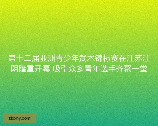 第十二届亚洲青少年武术锦标赛在江苏江阴隆重开幕 吸引众多青年选手齐聚一堂