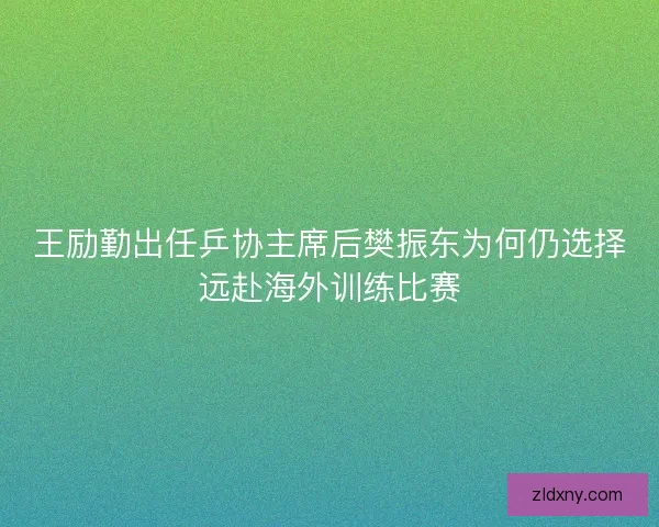 王励勤出任乒协主席后樊振东为何仍选择远赴海外训练比赛