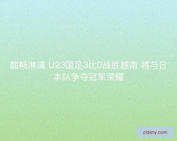 酣畅淋漓 U23国足3比0战胜越南 将与日本队争夺冠军荣耀 酣畅淋漓 U23国足3比0战胜越南 将与日本队争夺冠军荣耀
