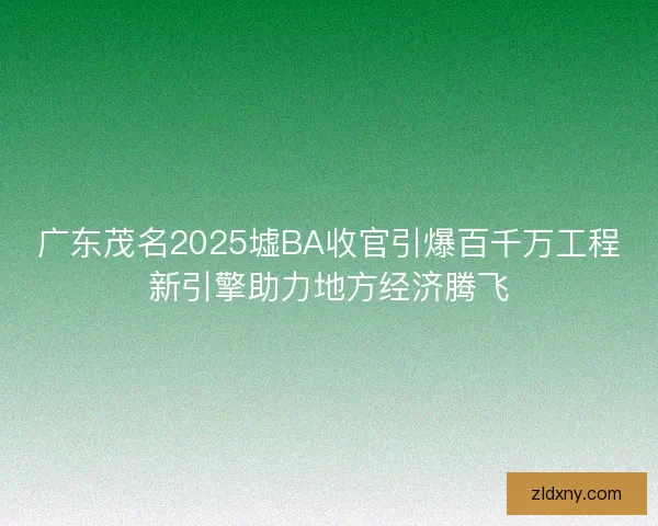 广东茂名2025墟BA收官引爆百千万工程新引擎助力地方经济腾飞 广东茂名2025墟BA收官引爆百千万工程新引擎助力地方经济腾飞
